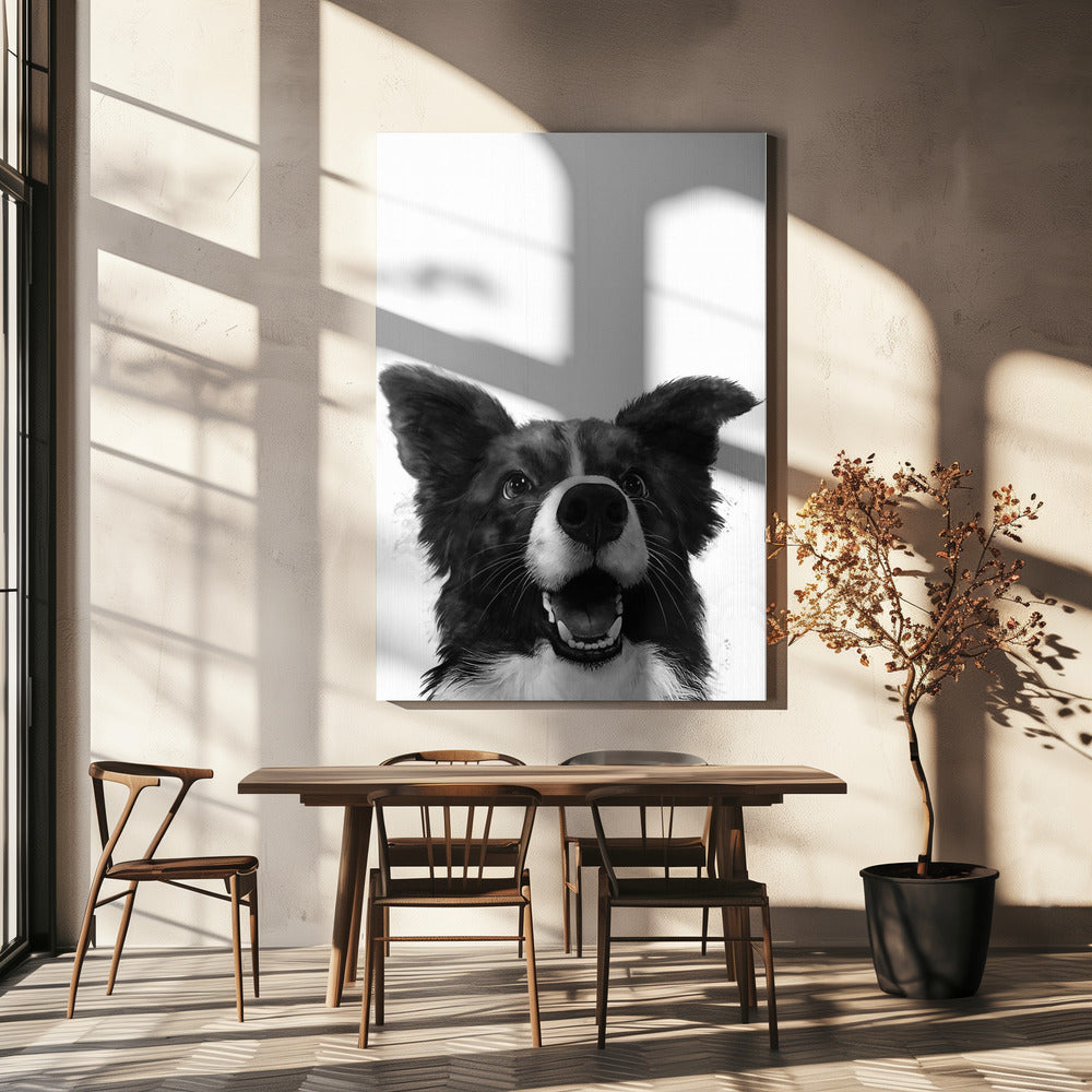 Freudiger Hundeblick | Leinwand-Bilder