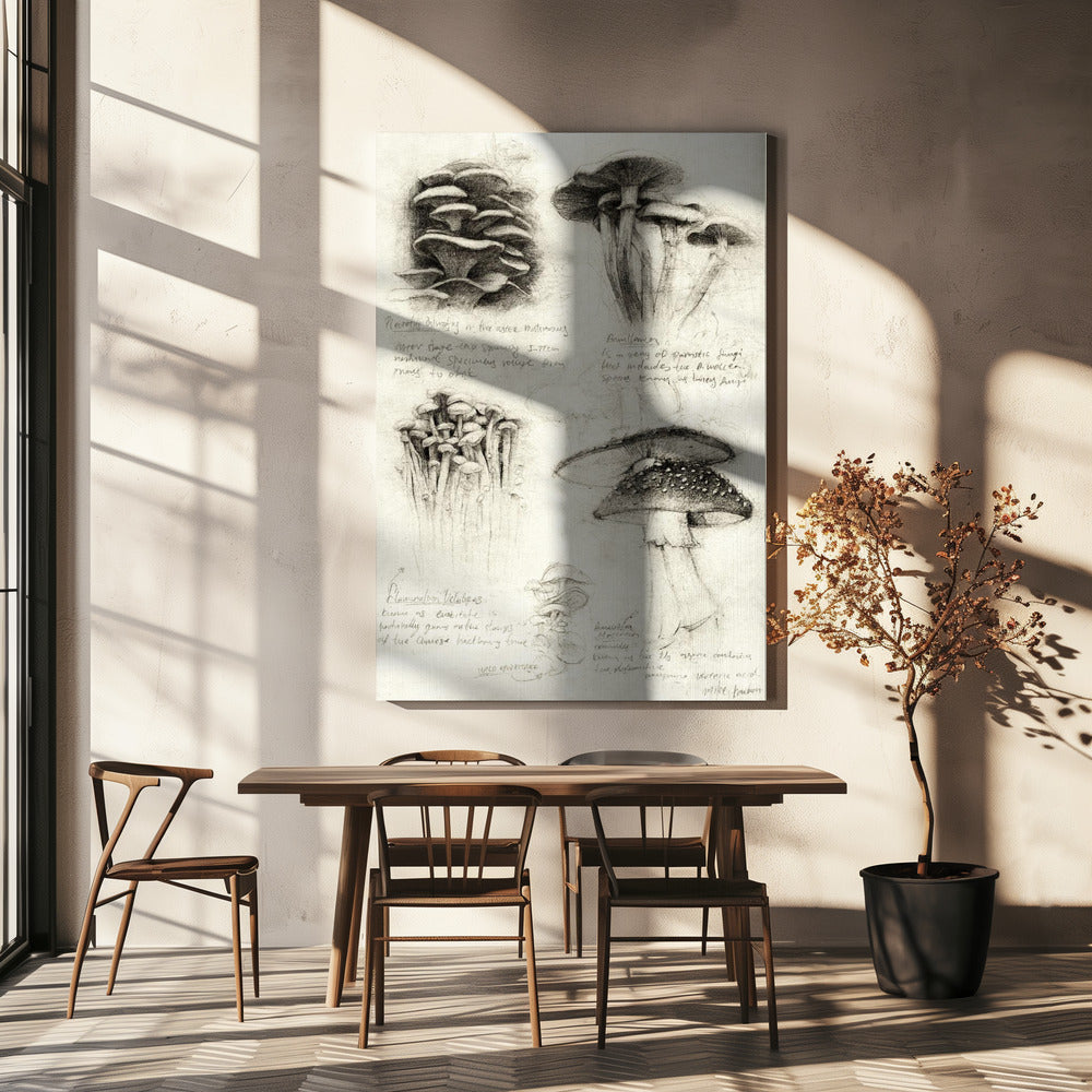 Olika botaniska svampar | Canvas