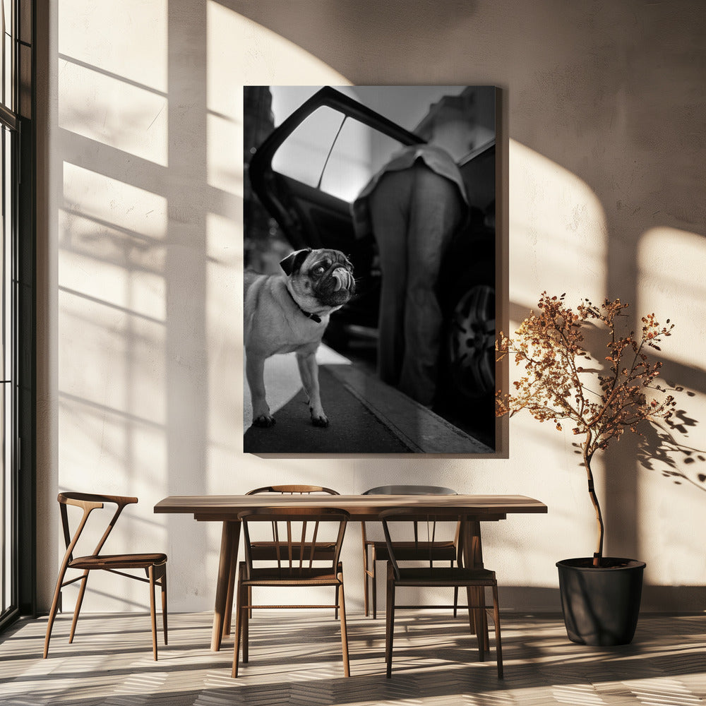 Namnlös | Canvas
