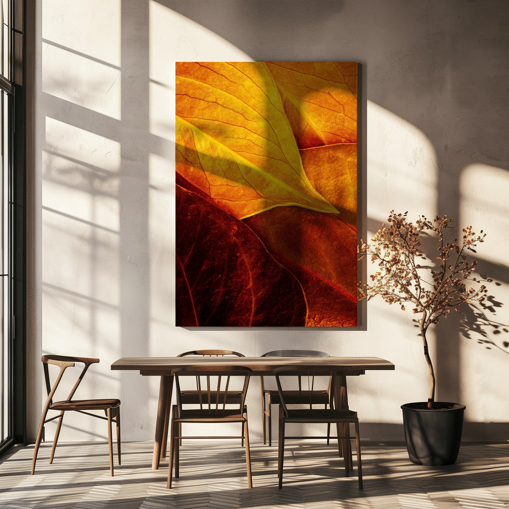 Leaves | Canvas