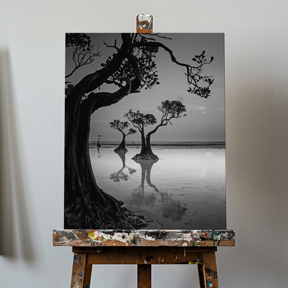 Framing | Canvas