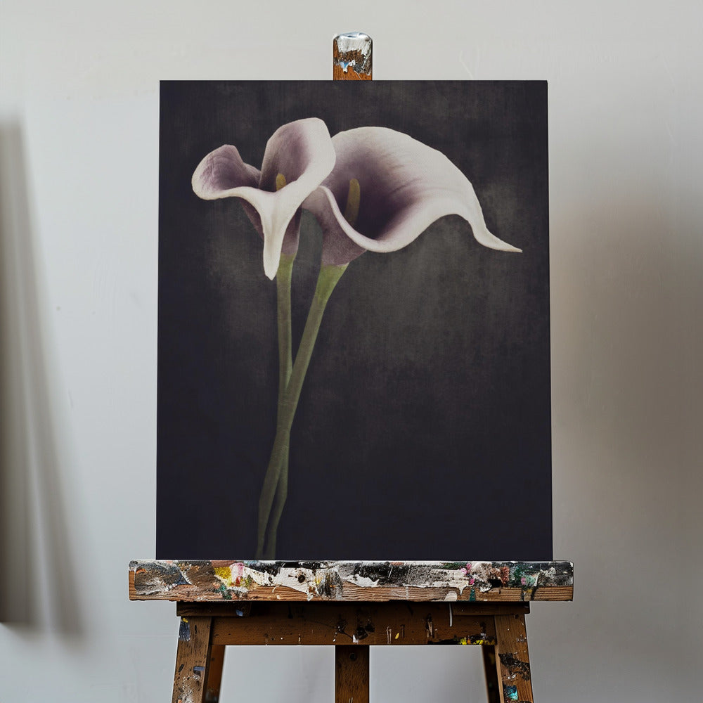 Bonded | Canvas