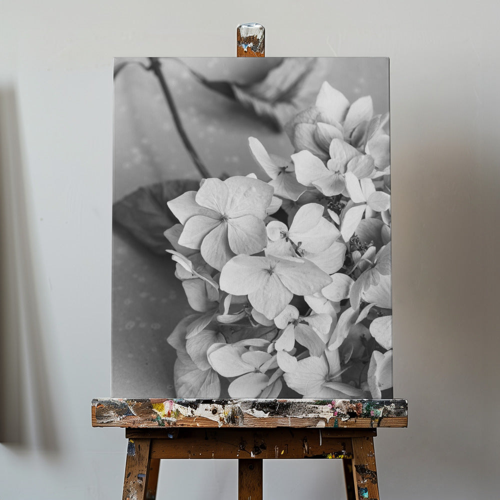 Dried Flowe ron Plate_black & white | Canvas