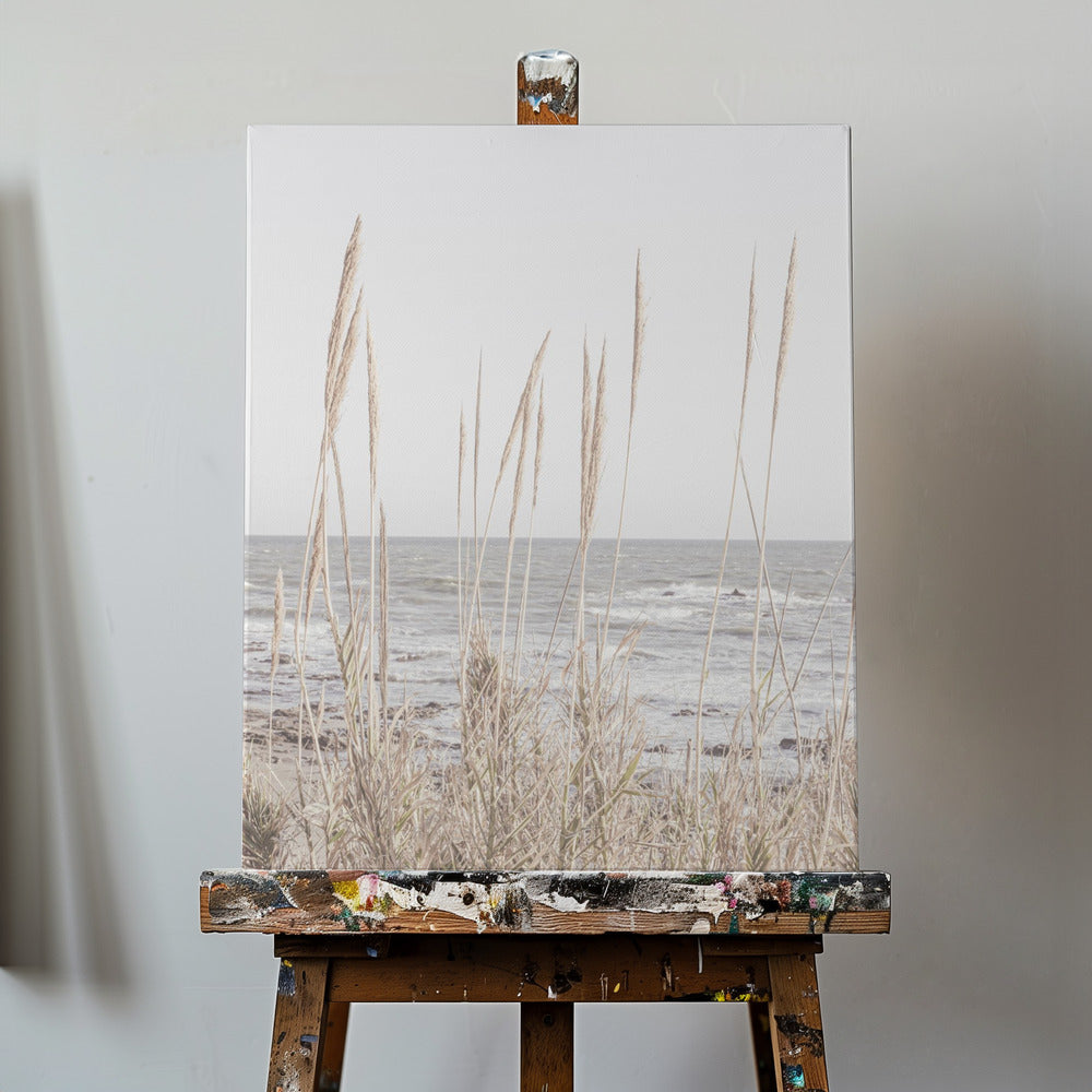 Beach_Vass_001 | Canvas