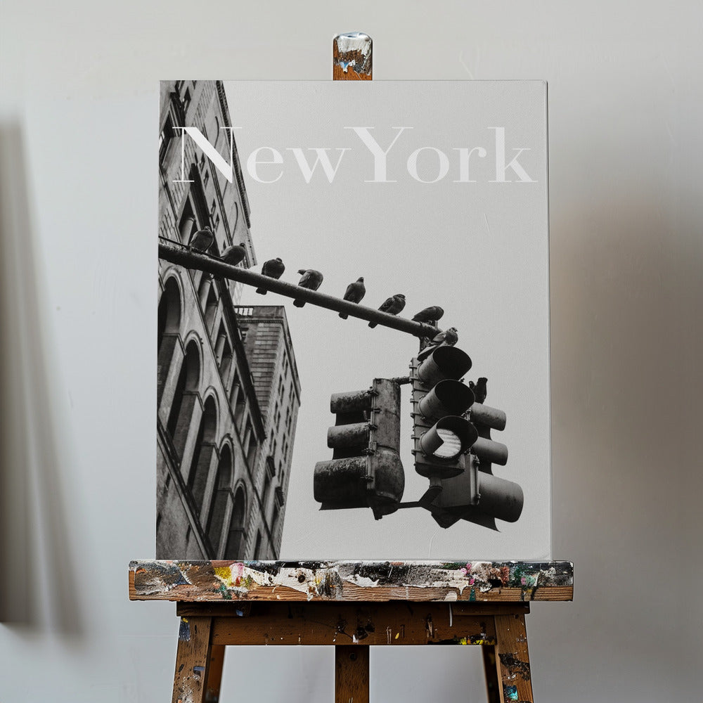 NYC Doves | Canvas