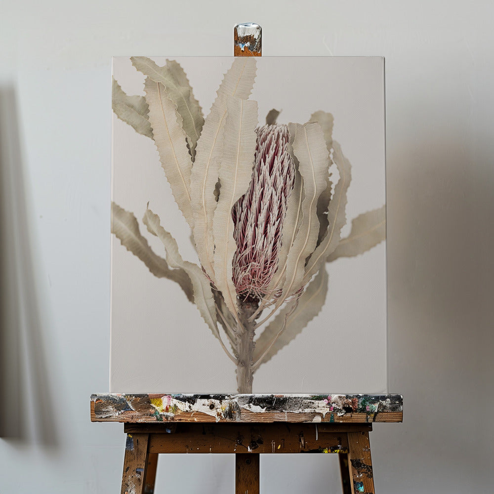 Banksia | Lærredsbilleder