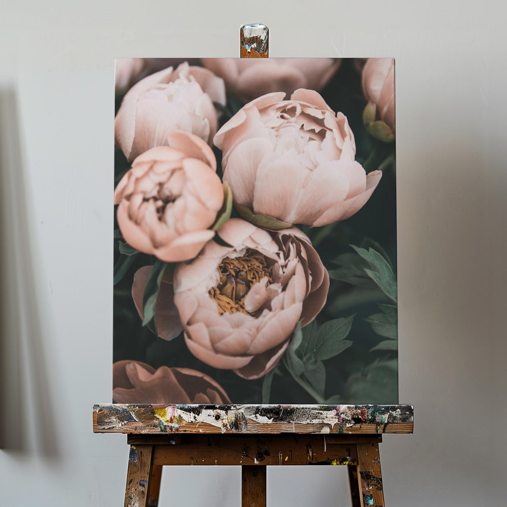 Korallpioner | Canvas