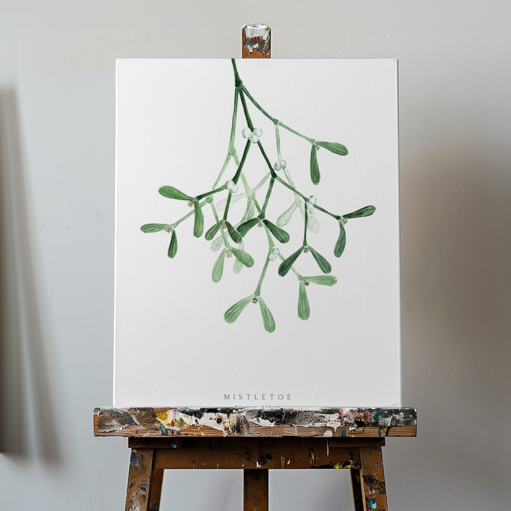 Watercolor mistletoe | Canvas