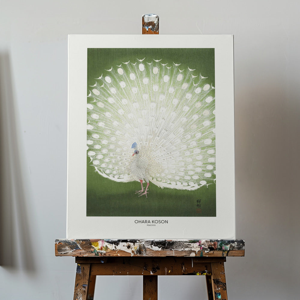 Påfågel - Beskuren | Canvas