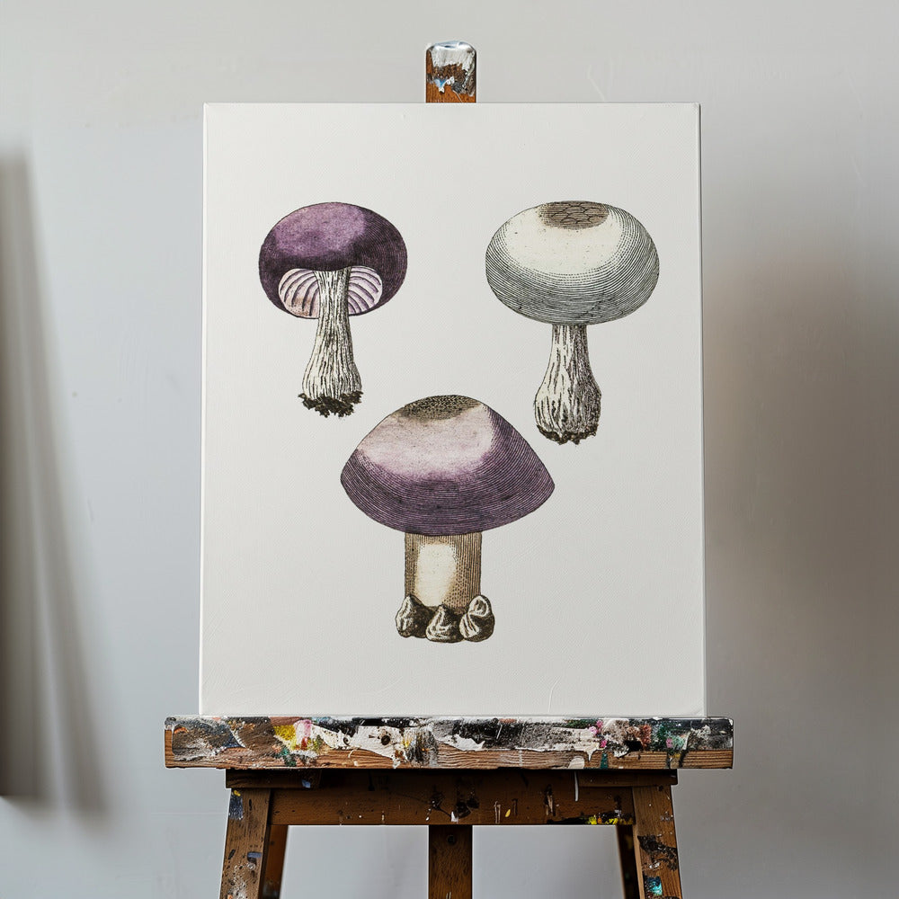 Handmörk violett webcap-svamp | Canvas
