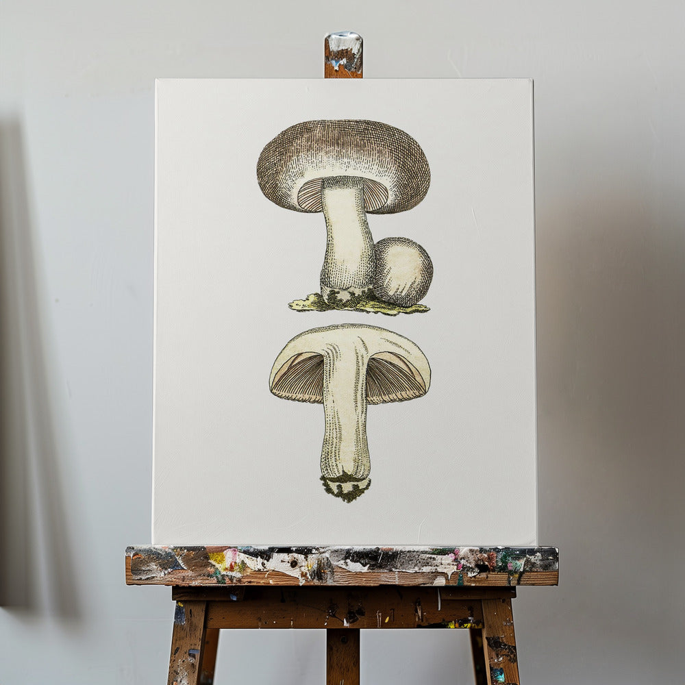 Handritad fältsvamp grå | Canvas