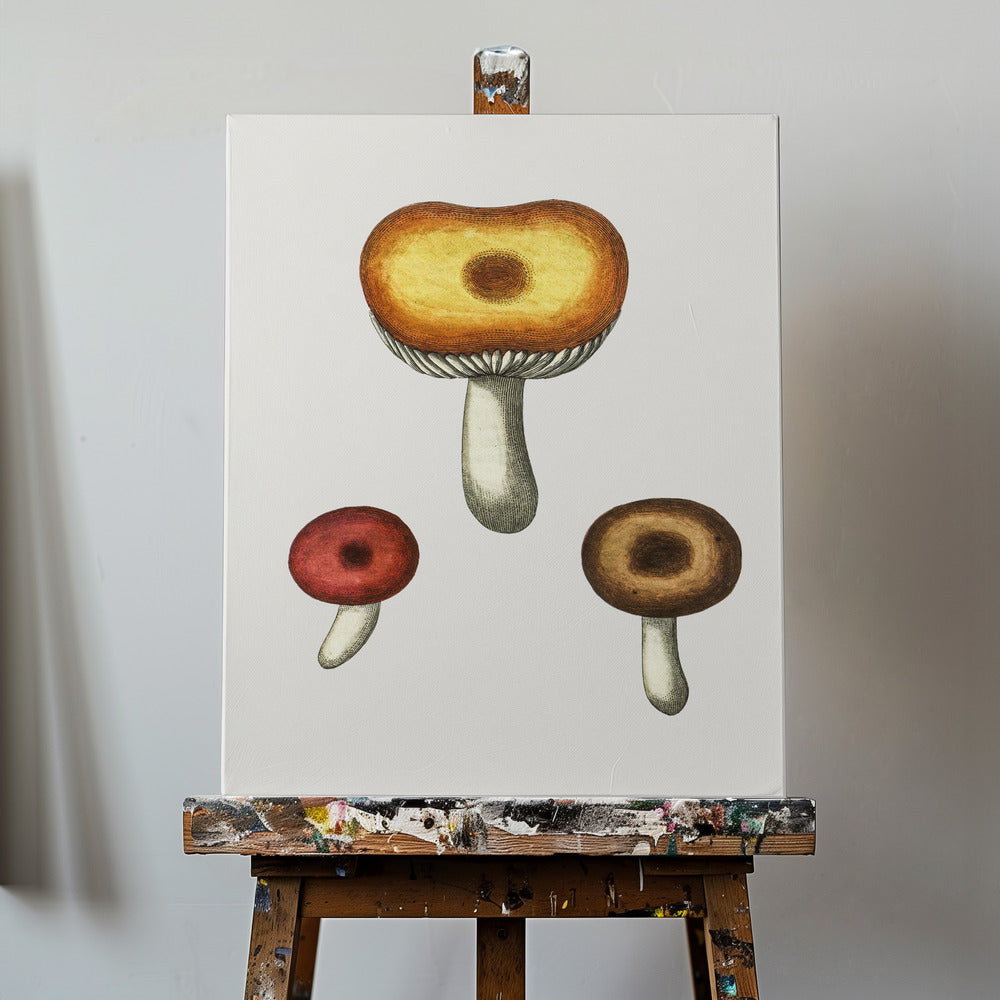 Handritad Galerina-svamp | Canvastavla