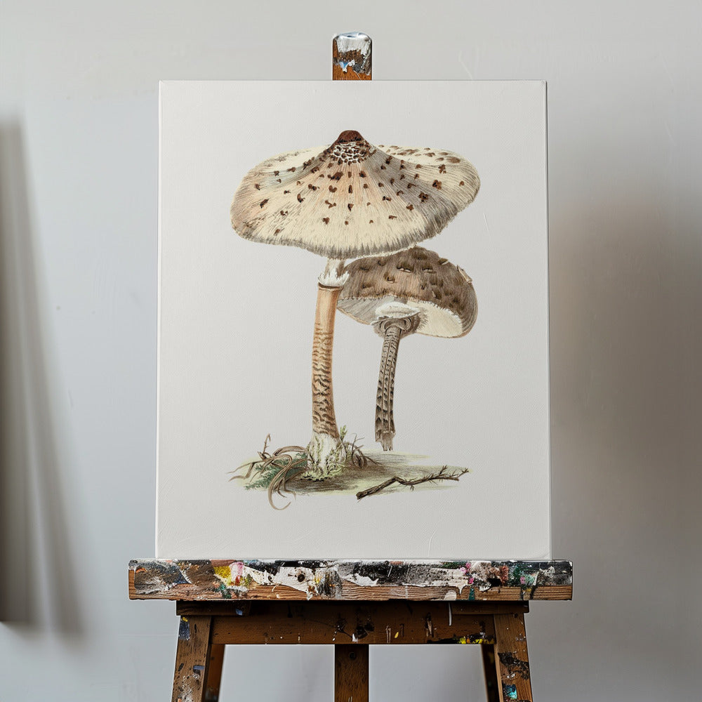 Handritad parasollsvamp | Canvas