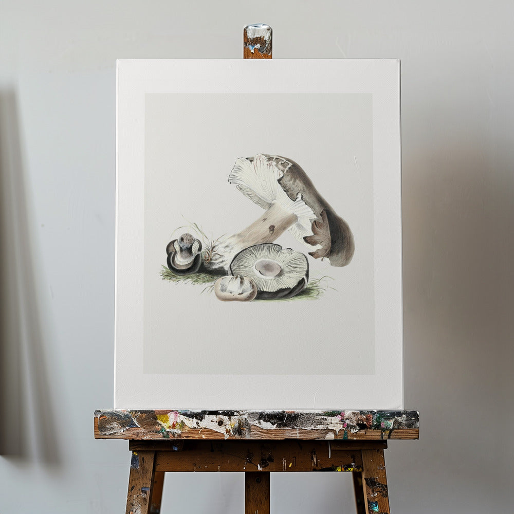 Vintage Agaricus Augustus svamp 50x70 | Duk