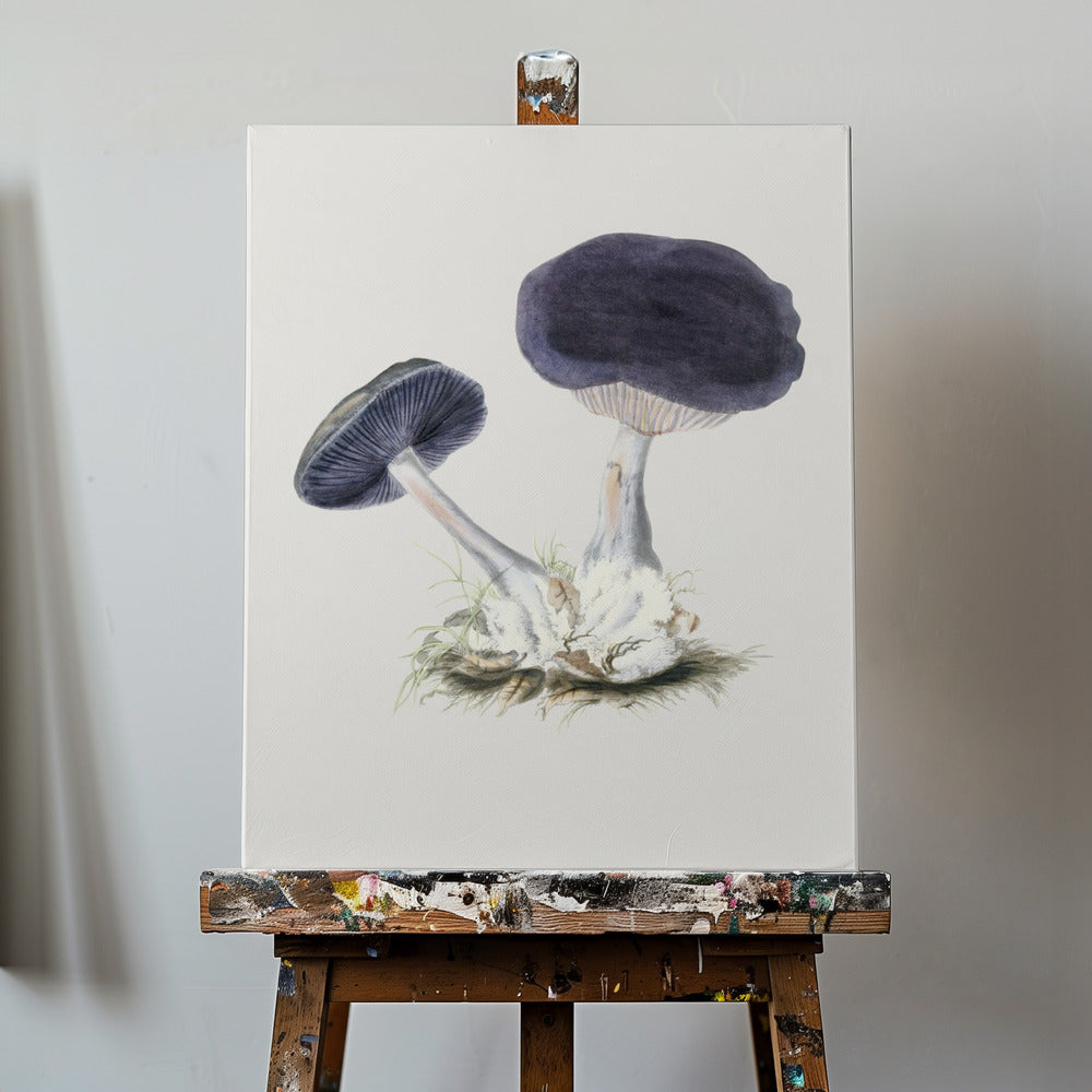 Vintage violett webbhatt-svamp | Canvas