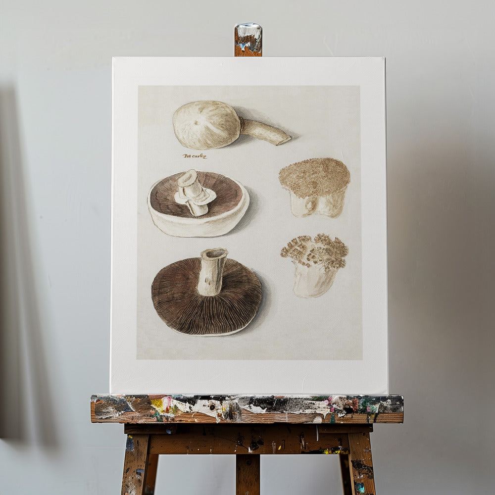 Ängssvamp, Agaricus Campestris stående | Canvastavla