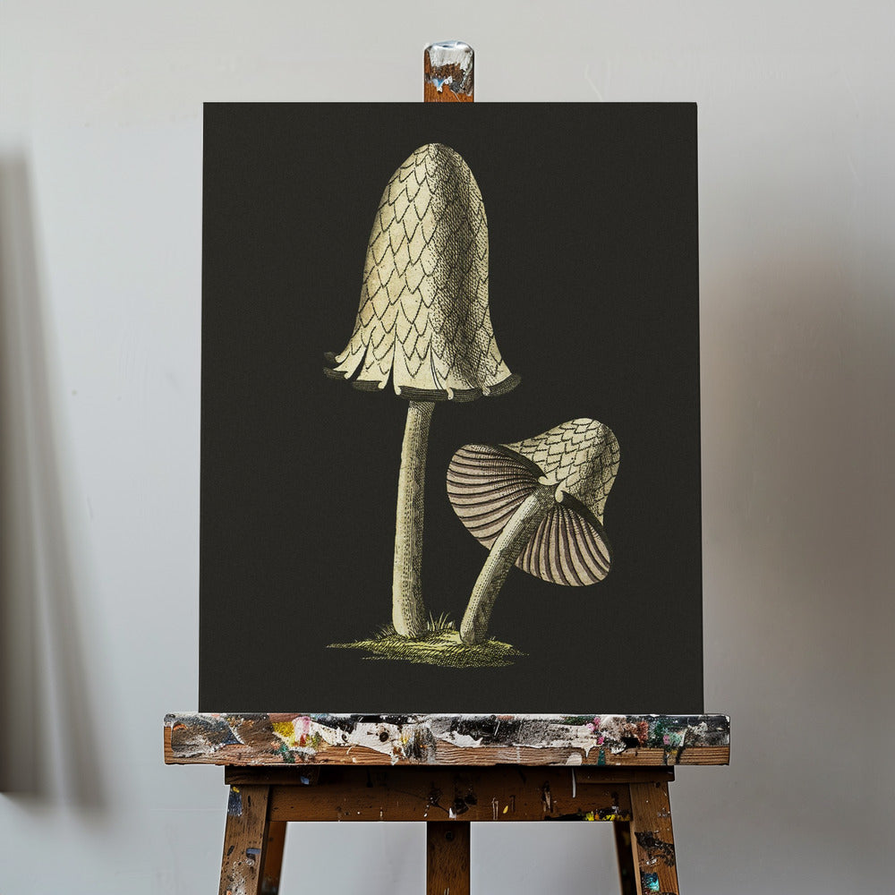 Vintage bläckmössa ätbar svamp svart bakgrund | Canvas