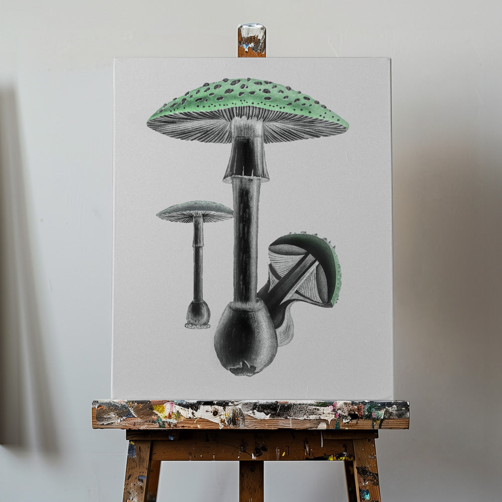 Amanita Muscaria Vit bakgrund Grön | Canvastavla