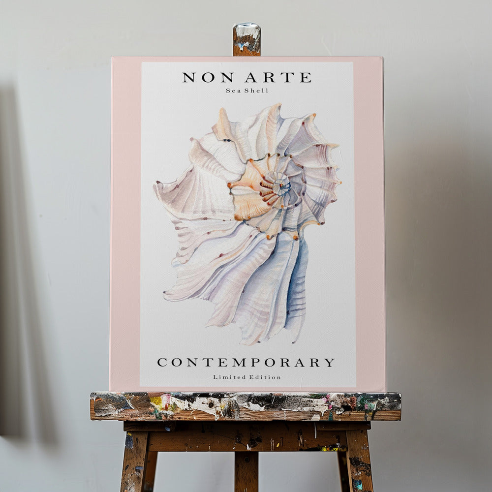 Non Arte Sea Shell no.1 | Canvas