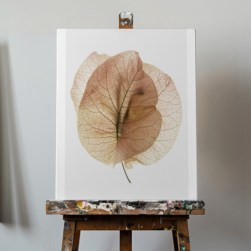 Bougainvillea-Studie Nr. 7 | Leinwand-Bilder