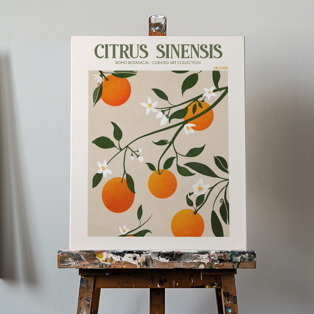 Citrus Sinensis - Orange | Canvas
