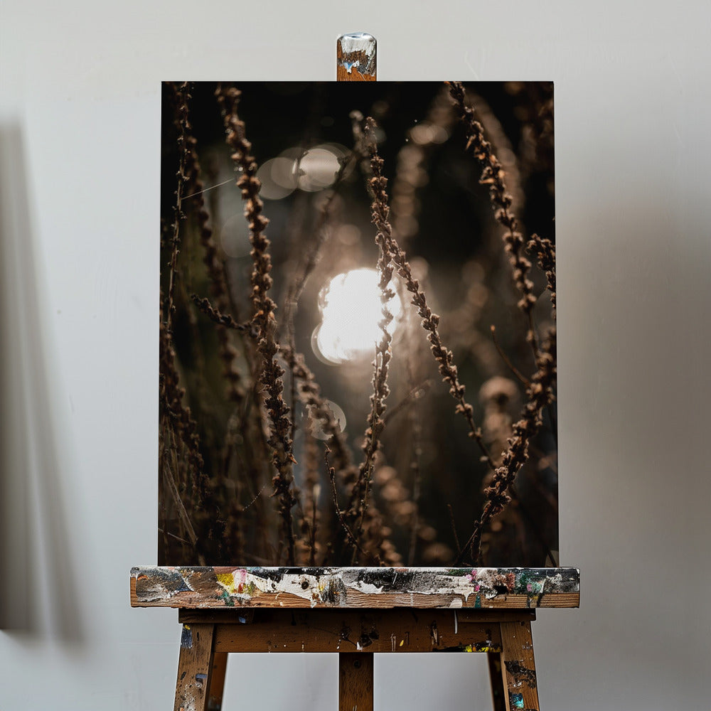 Autumn Lights 2 | Canvas