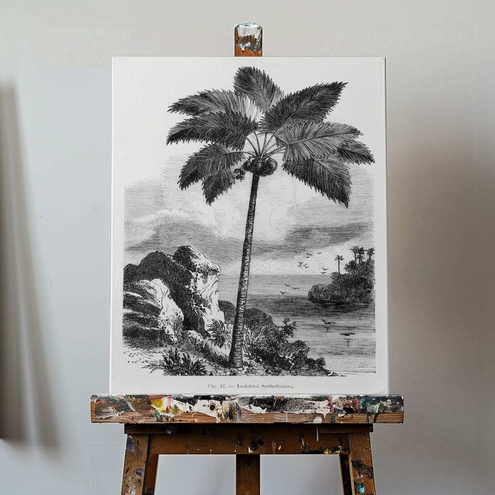 Vintage Palm Tree Drawing I | Canvas