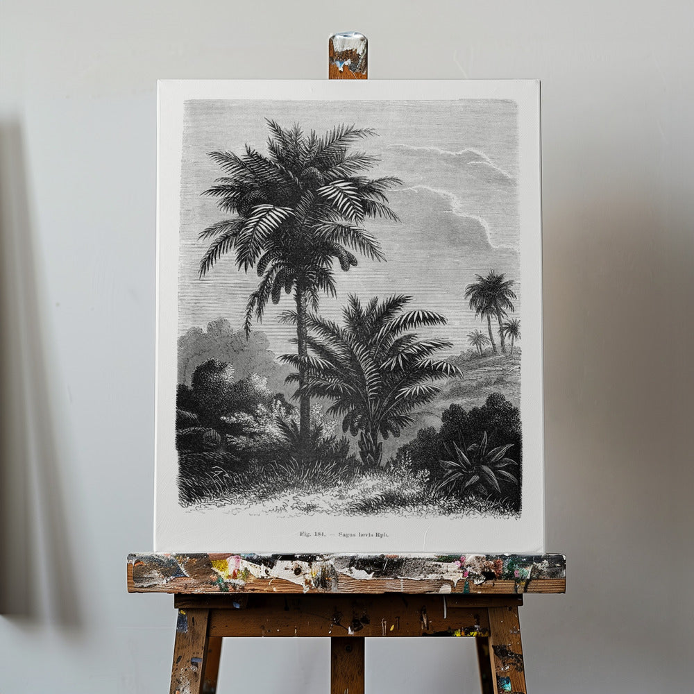 Vintage Palm Tree Drawing V | Canvas