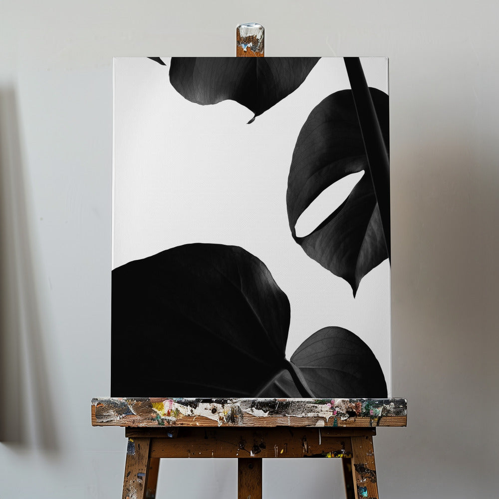 Kontrasterande Monstera | Canvas