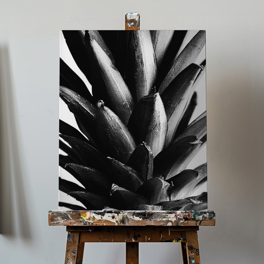 Svartvitt furu | Canvas