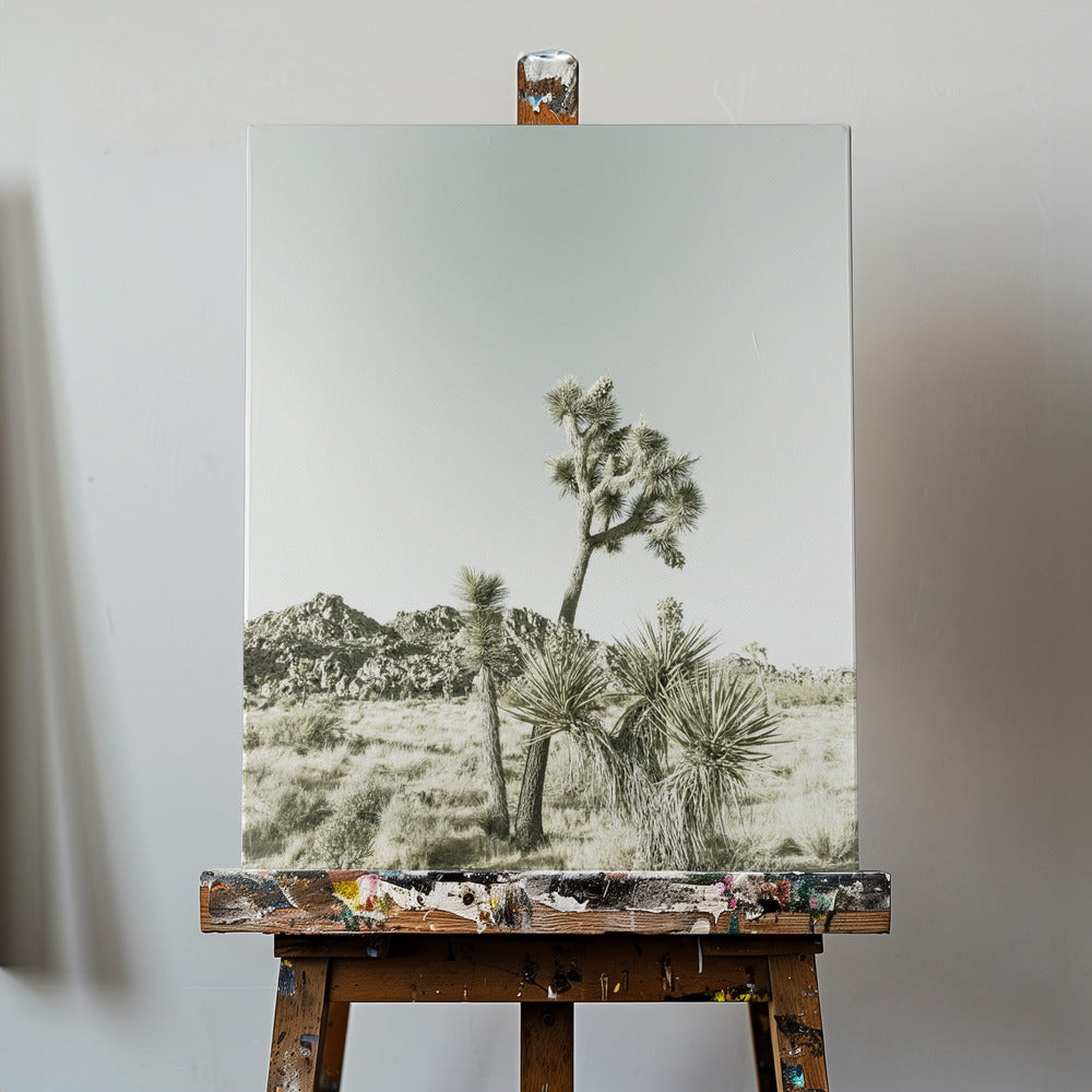 Joshua Tree National Park Vintage Impression | Canvas