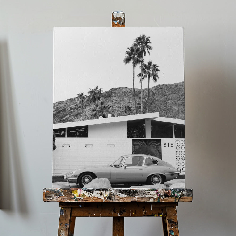 Palm Springs Ride II | Canvas