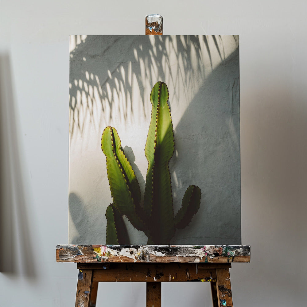 Socal Shadows | Canvas