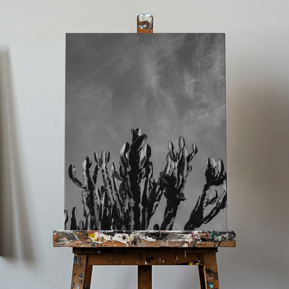 Monochrome Cactus Sky | Canvas