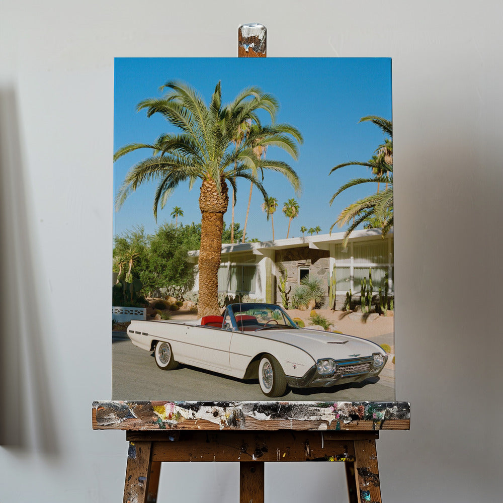 Palm Springs Thunderbird | Canvas