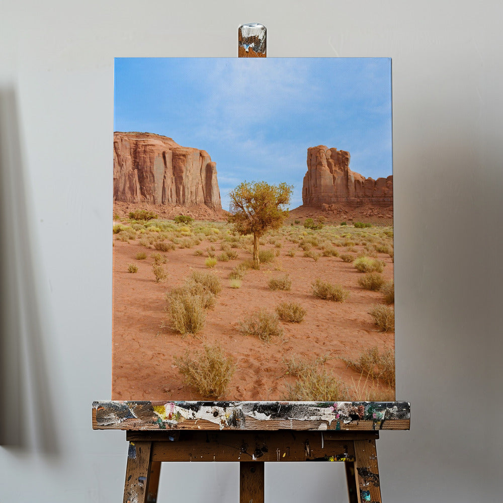 Monument Valley X | Canvas