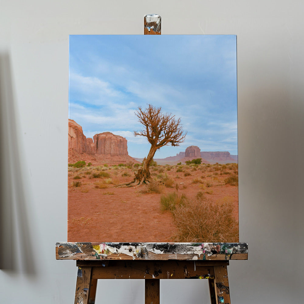 Monument Valley XI | Canvas