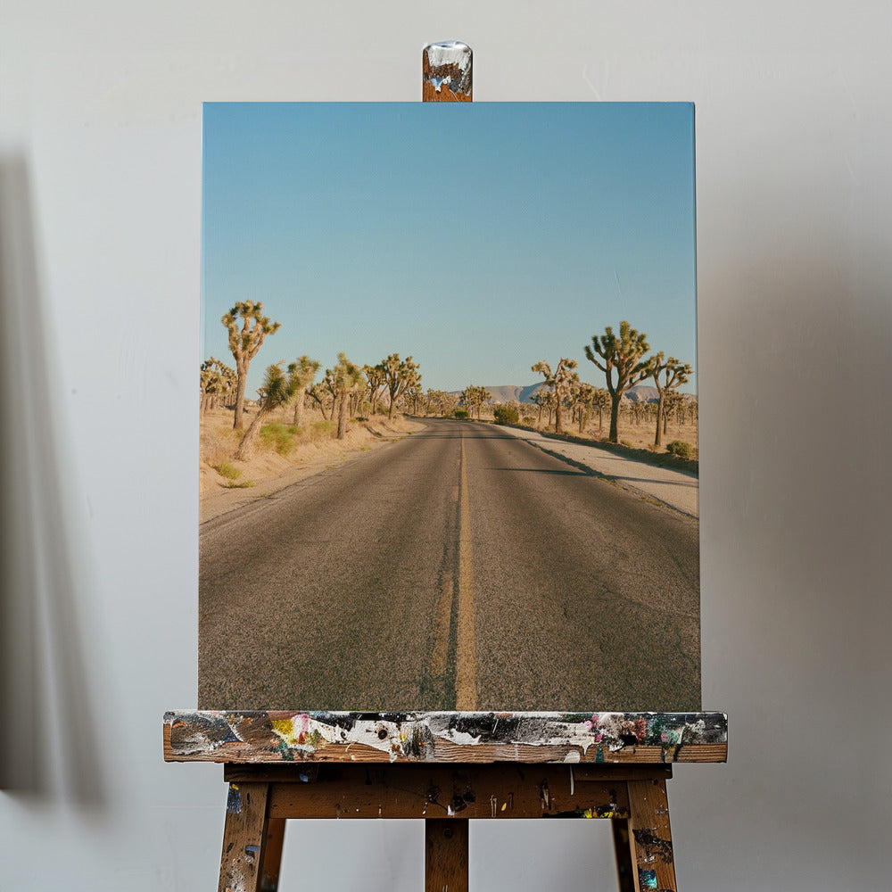 Joshua Tree Road II | Canvas