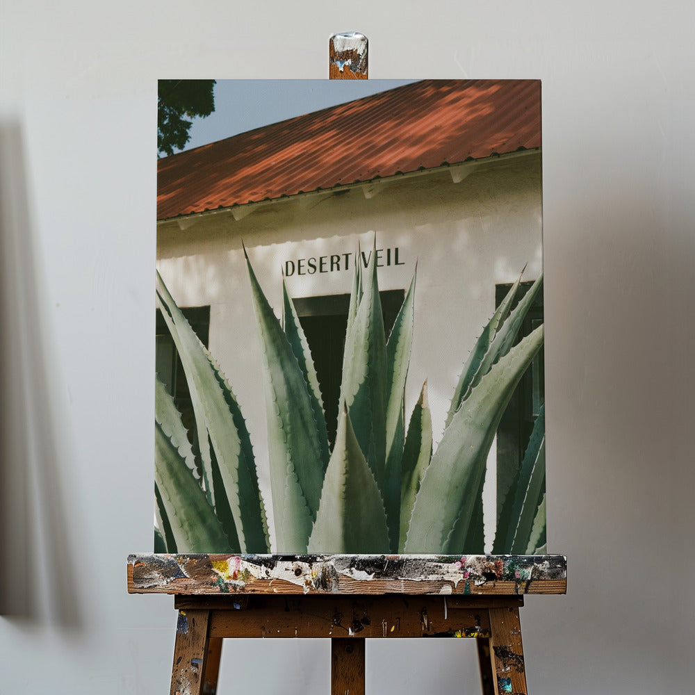 Ökenslöja | Canvas