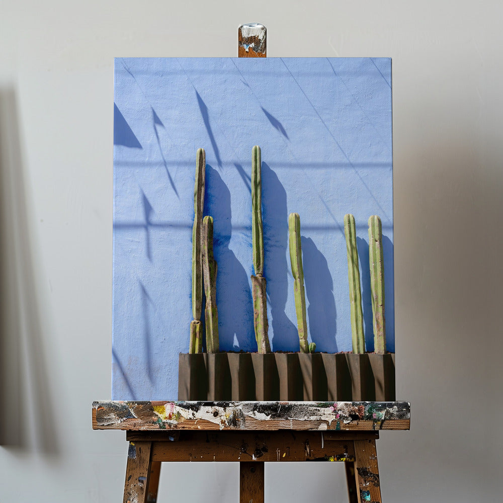 Tall Cacti | Oaxaca Mexico travel photography | Canvas