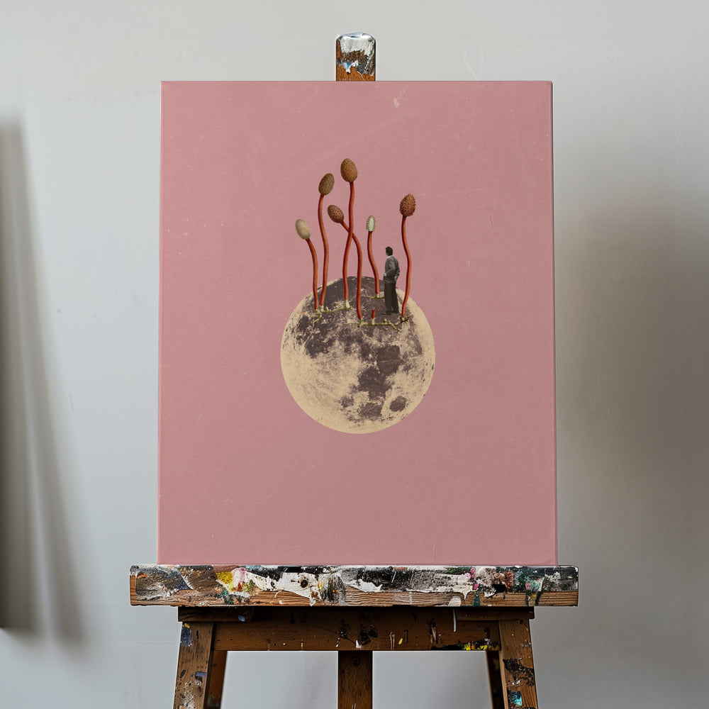 Månens tillväxt | Canvas