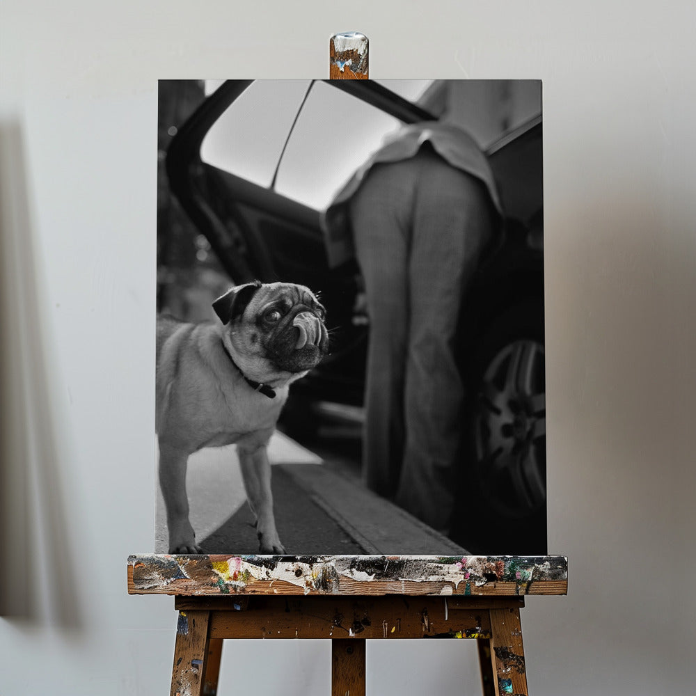 Namnlös | Canvas