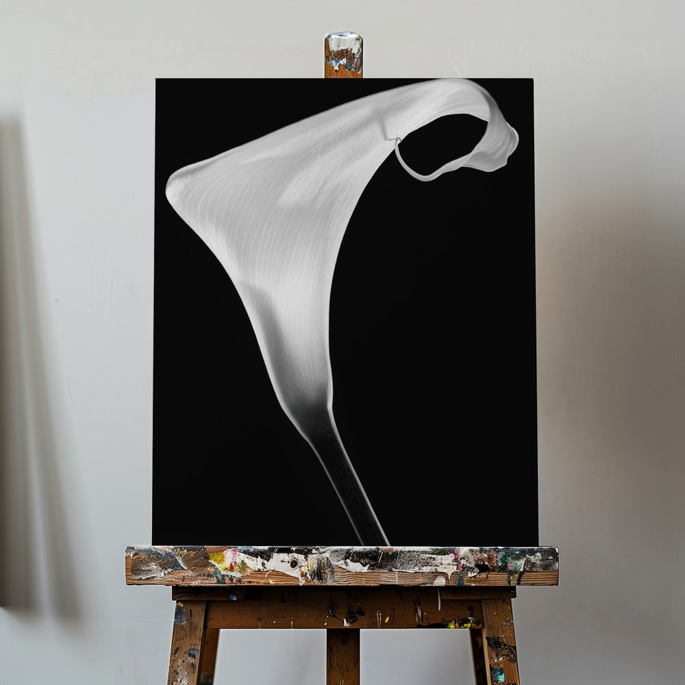 Calla | Tableaux sur Toile