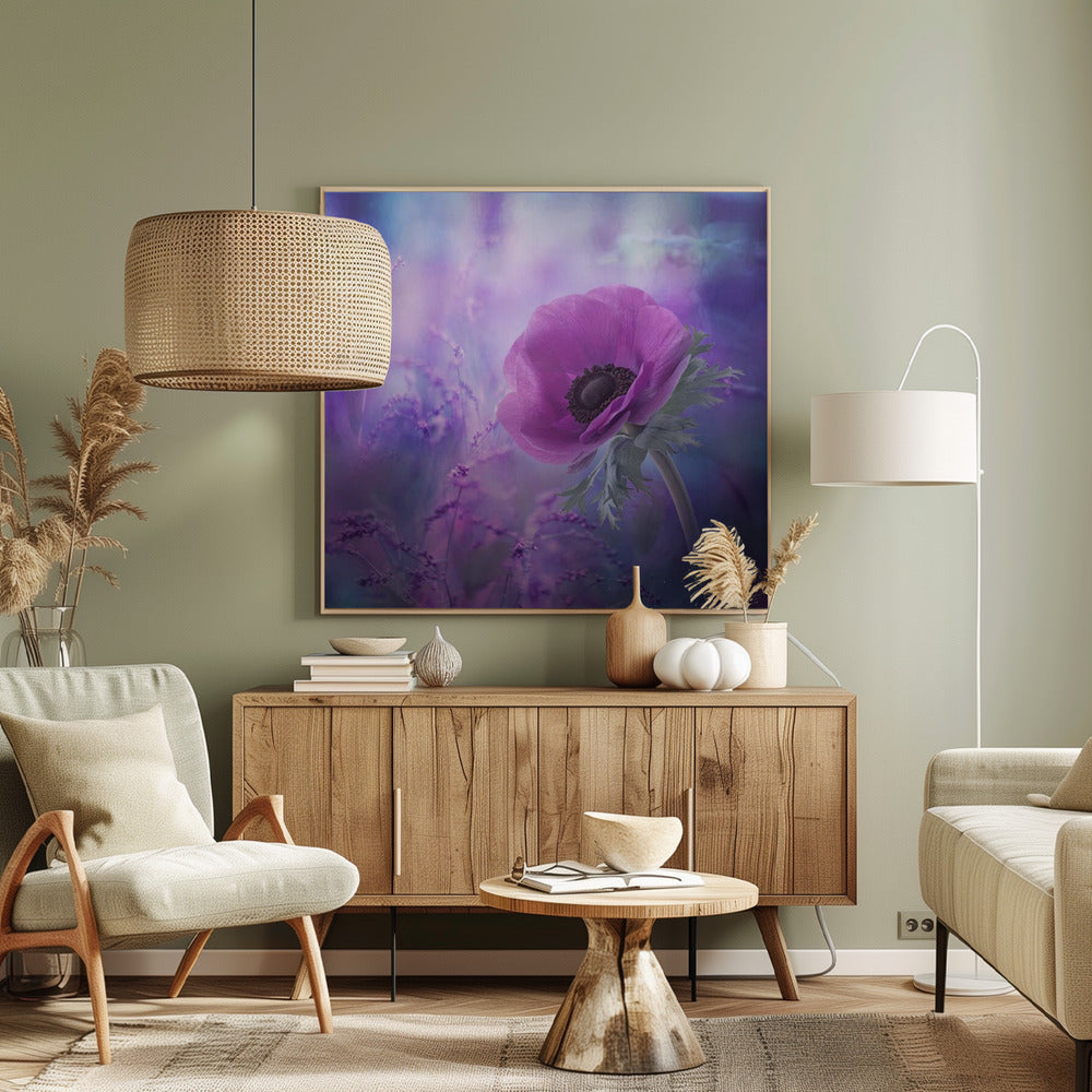 Extas | Canvas