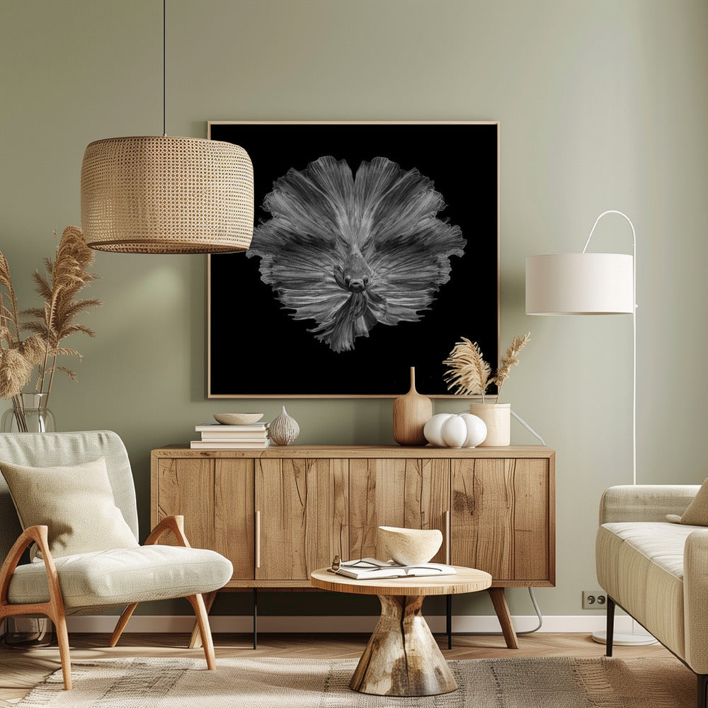 Die Blume des Schwanzes | Leinwand-Bilder