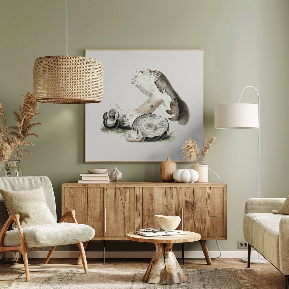 Vintage Agaricus Augustus svamp | Duk