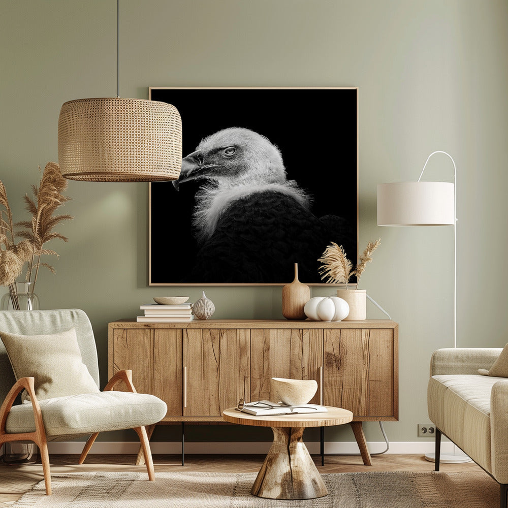 Eurasisk griffon #7 | Lerretsbilder