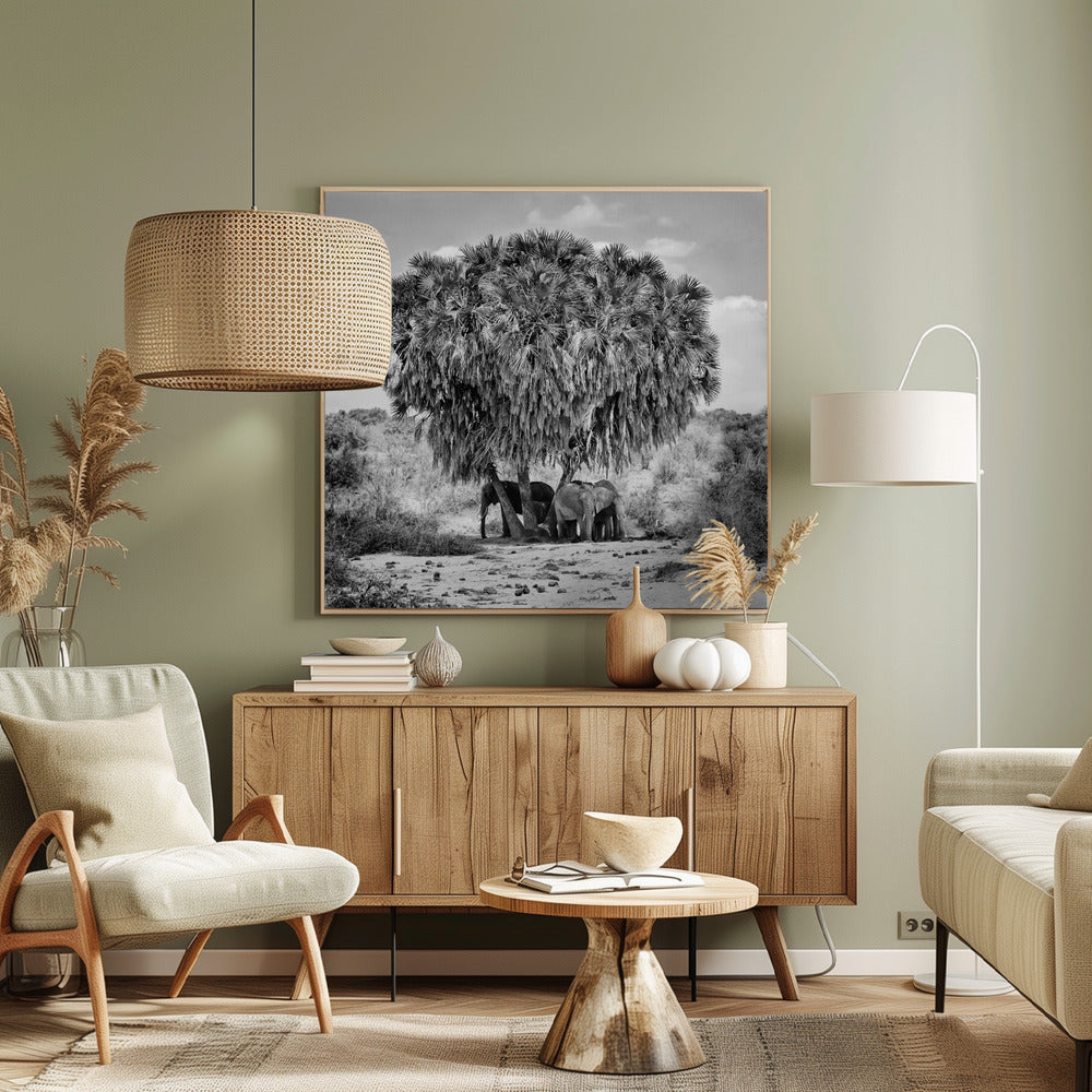 Middagsmöte | Canvas
