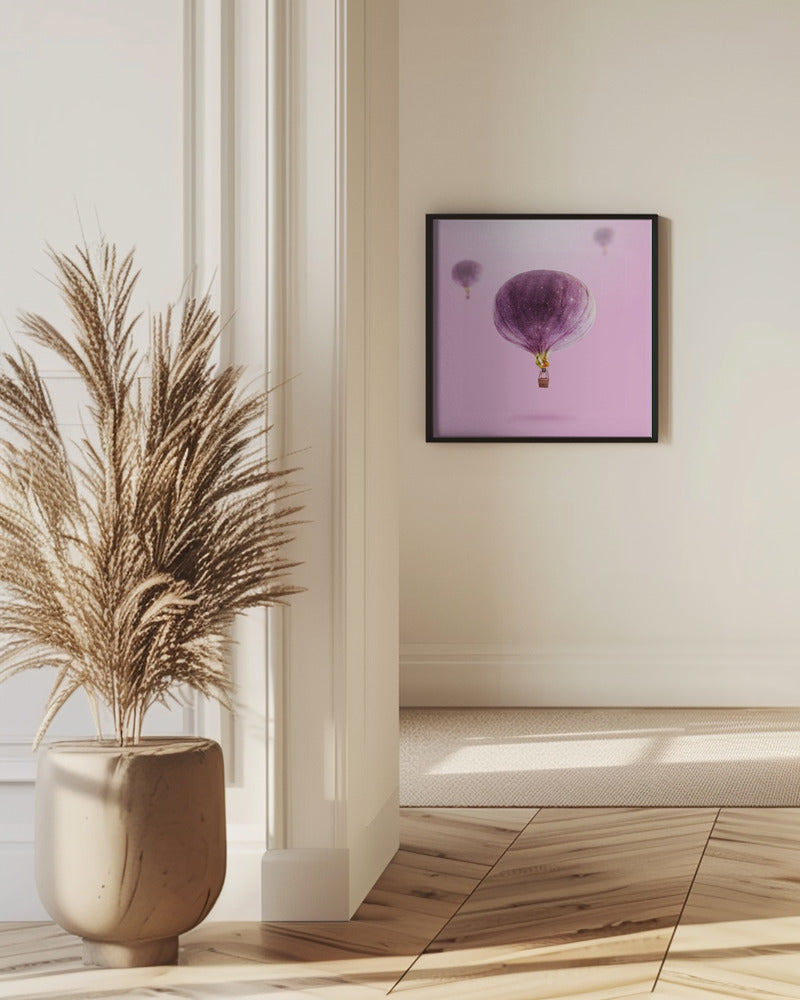 Feigenballons | Poster - Kunstdruck