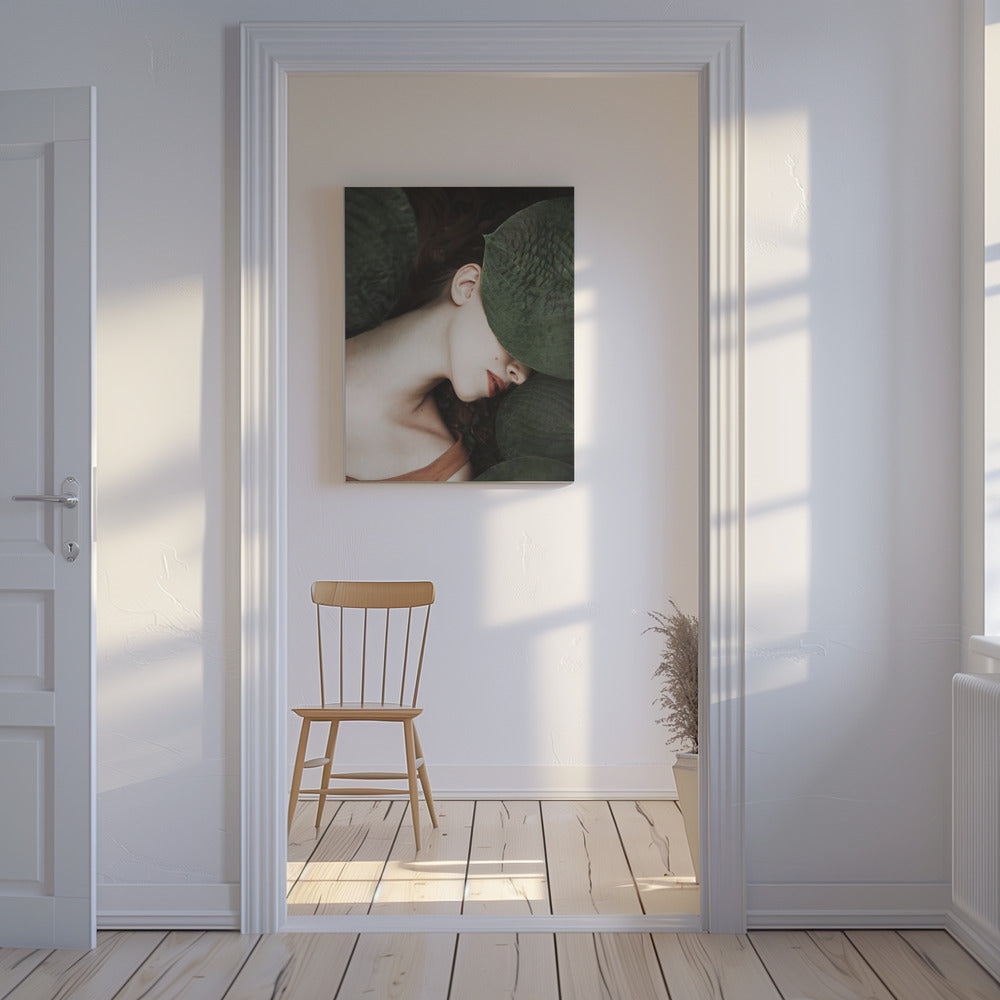 Var | Canvas
